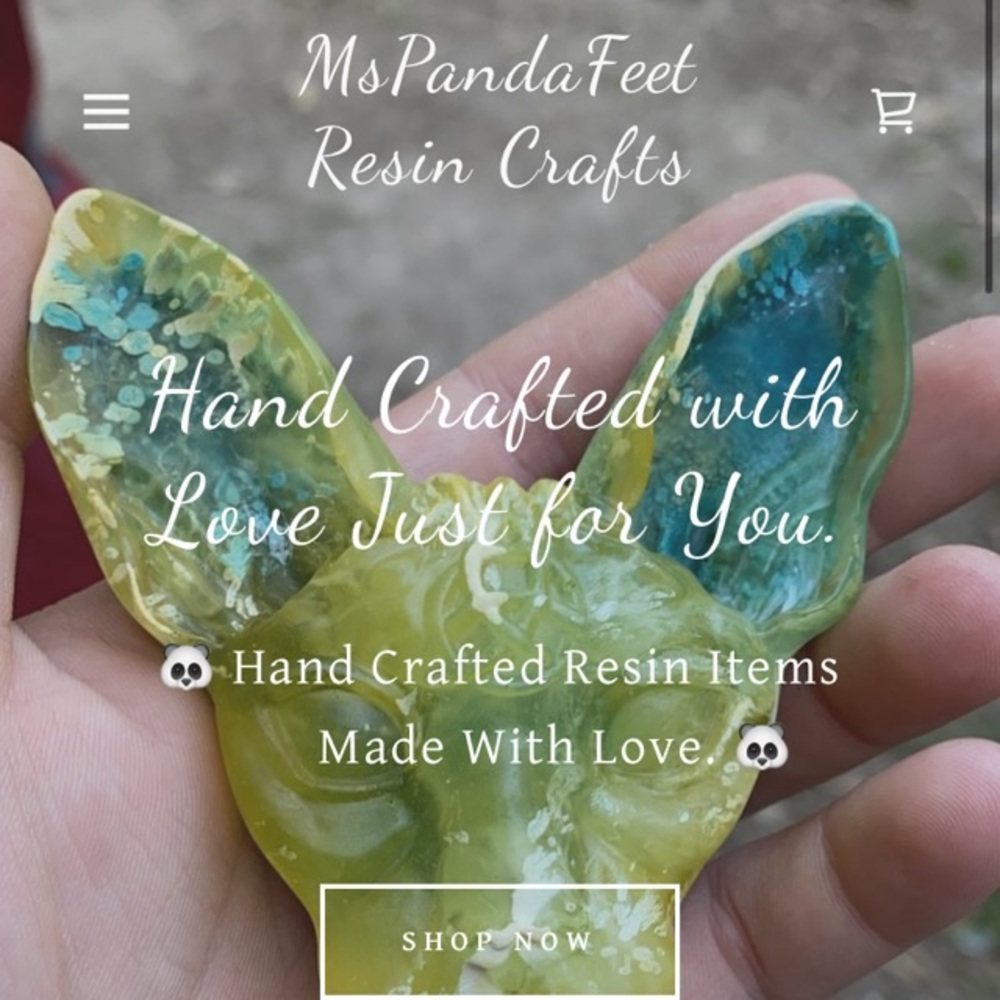 Meet your Posher, Tori